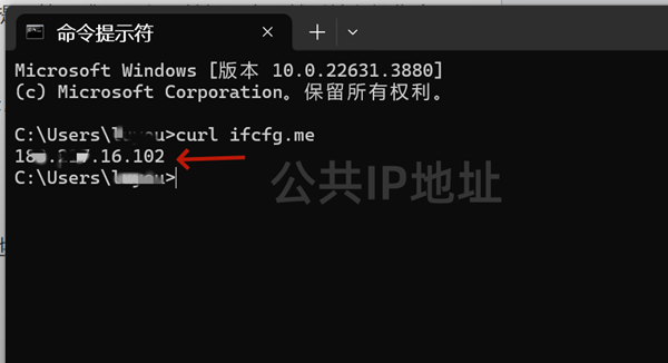 CMD查看公共IP地址命令